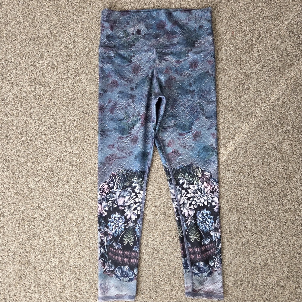 Evolution And Creation Cactus Succulent Sugar Sku… - image 2